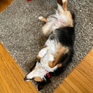 Meet your Posher, Ebelien